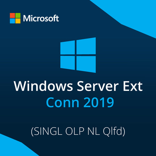 Windows Server Ext Conn 2019 SINGL OLP NL Qlfd